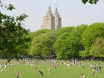 Rented by Aida Real Estate Sales