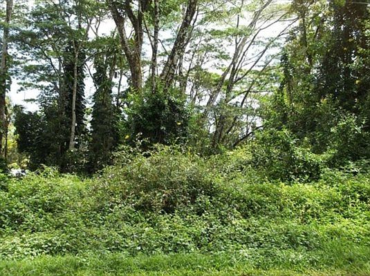 1st image of Nanawale Blvd Lot 689