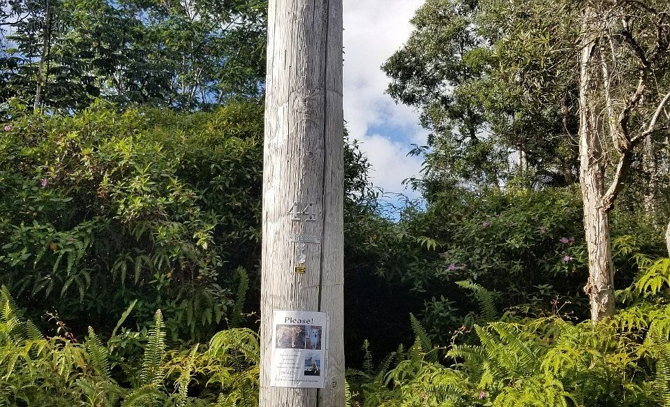 1st image of Kahukai St Lot 24