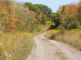 0 Briggs Hill Rd LOT 19, Van Etten, NY 14889