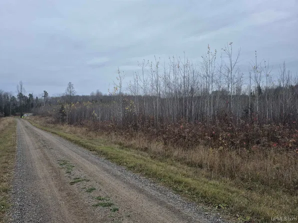 Batesamasa Rd, Bates, MI 49920