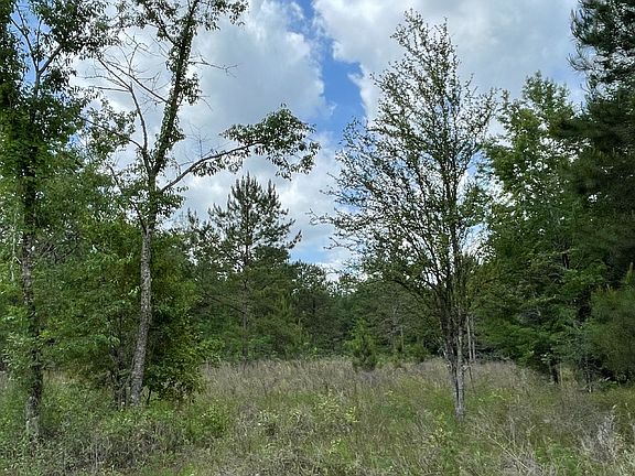5th image of LOT 1 123rd Dr