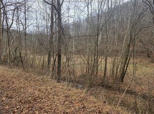 1007 Dry Branch Ln, Apple Grove, WV 25502
