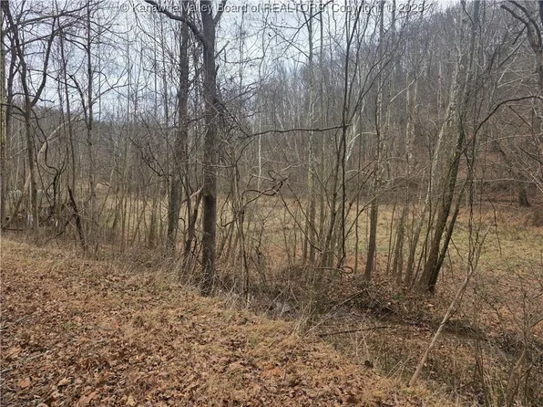 1007 Dry Branch Ln, Apple Grove, WV 25502