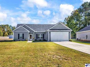 6352 Stagecoach Rd, Effingham, SC 29541