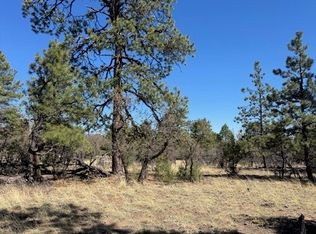 Doe Run Dr, Los Ojos, NM 87551