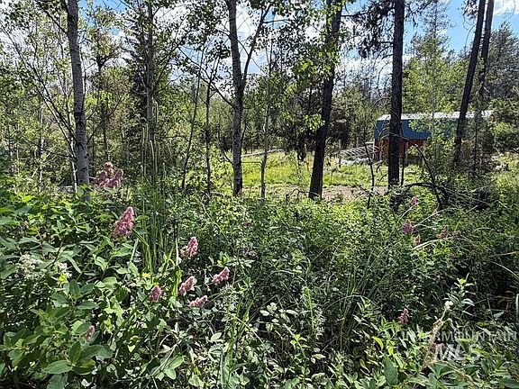 3rd image of 40 Black Pine Pl