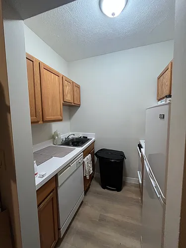 111 Norway St #203 Photo 1