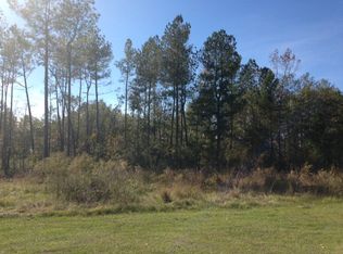1140 Ally Ln, Manning, SC 29102
