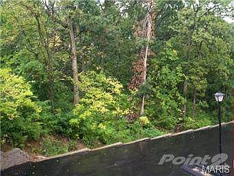 Backs to heavy woods.