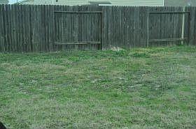 2nd image of 7810 Ashland Springs Ln