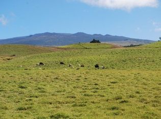 LOT 45 Lot 45, Kamuela, HI 96743