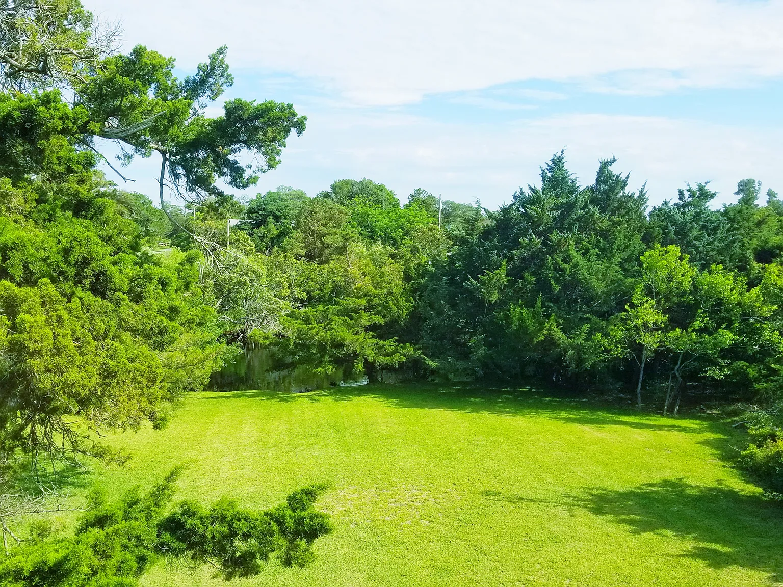 1 bed, $950 — Photo 2