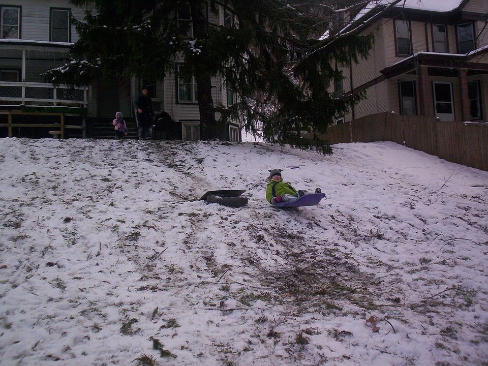 front yard 