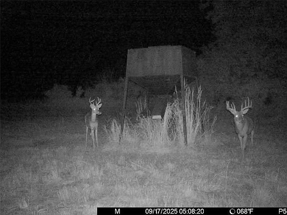 5th image of 3528 W Virginia Rd