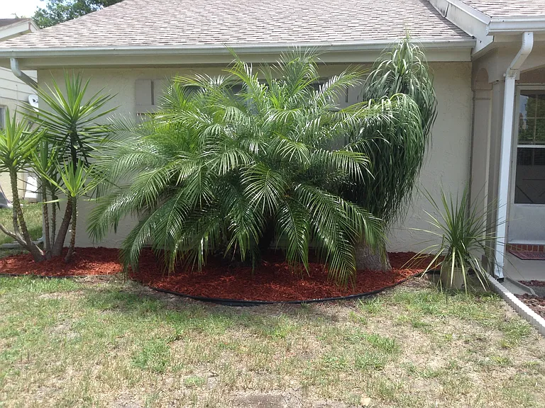 12414 Parchment Dr — Photo 13