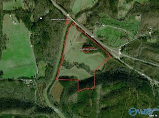 72 Acres Hwy #431, Heflin, AL 36264