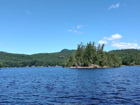 L50 Adams Lane, Paradox, NY 12870