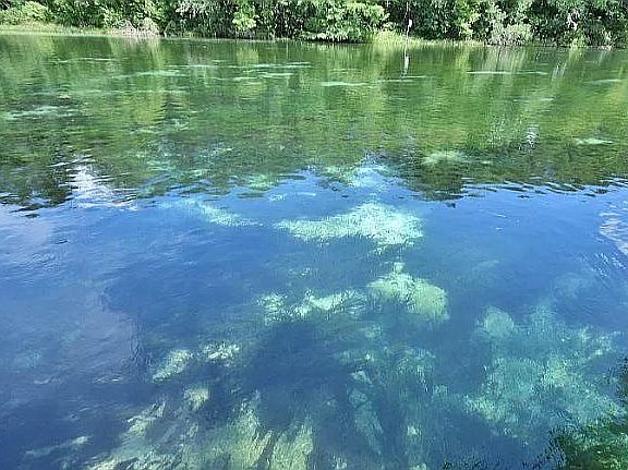 Access to Rainbow River 