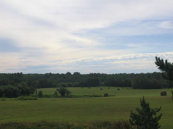 40 acres of Hay and Meadow