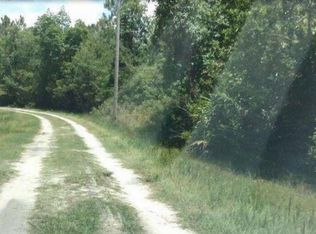 721 Old Bubbly Rd, Pierson, FL 32180