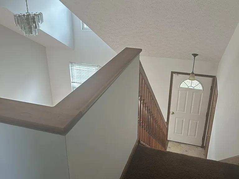 33956 Floraline St — Photo 11