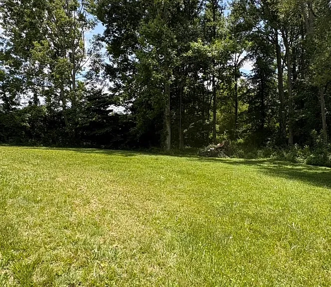 Spacious backyard