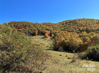 5 Hidden Valley Rd, Clyde, NC 28721