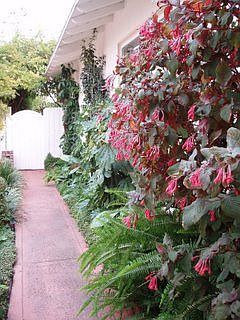 North Walkway to Back