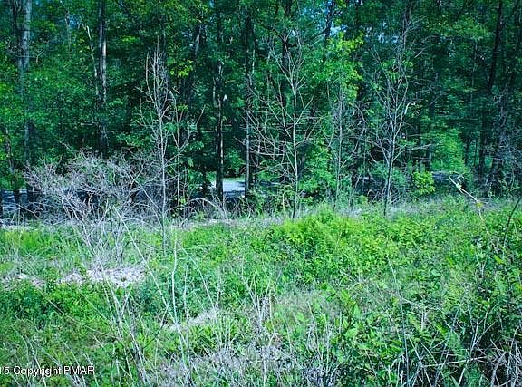 4th image of 0 Hauto Hwy
