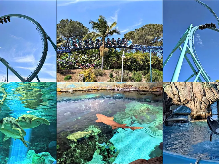 Dive into aquatic adventures at the nearby water park and explore the wonders of SeaWorld, all within a 15-minute drive.