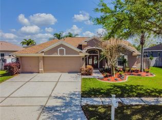 3106 Bowfin Dr, Land O Lakes, FL 34639