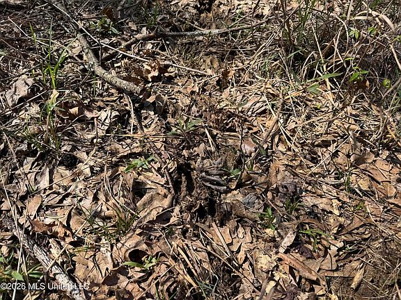 2nd image of 0 N Circle Rd