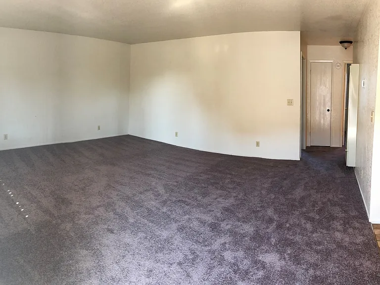 3153 Eucalyptus St — Photo 4