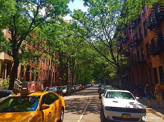 Rented by Oxford Property Group | media 60