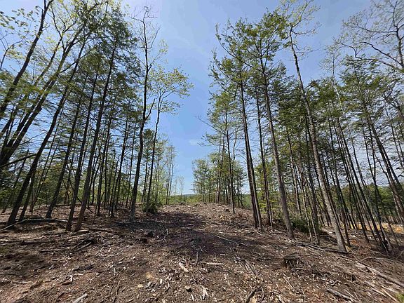 3rd image of Map 417 Lot 51-1 Shannon Road
