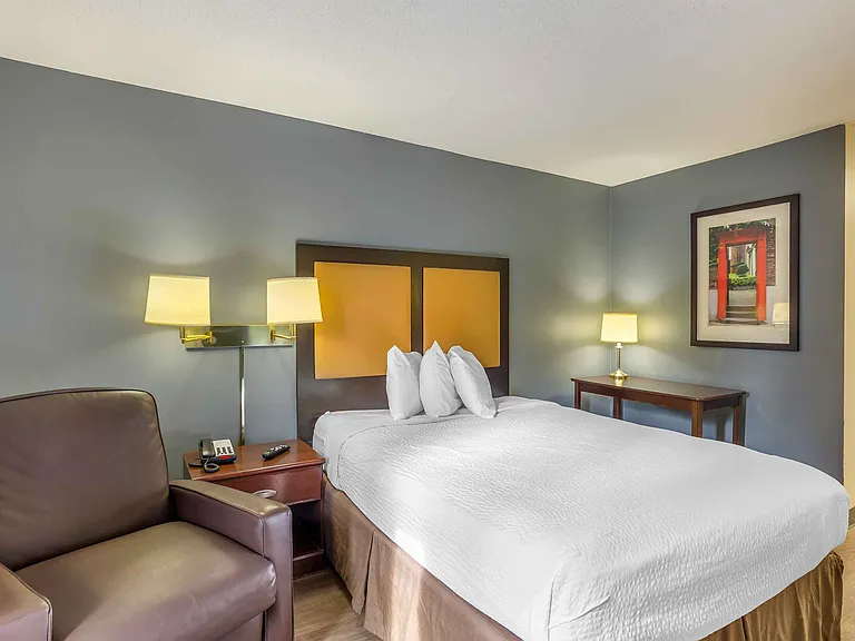Studio Suite - 1 Queen Bed