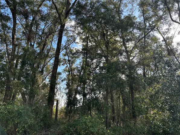 NW 53rd St Lot 11, Ocala, FL 34482