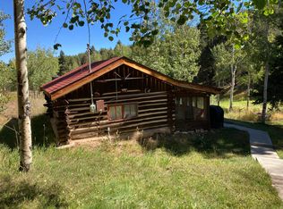 28376 Squirrel Ln UNIT A, Conifer, CO 80433