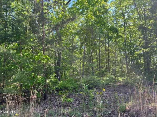 4 Bluff View Dr, Spencer, TN 38585