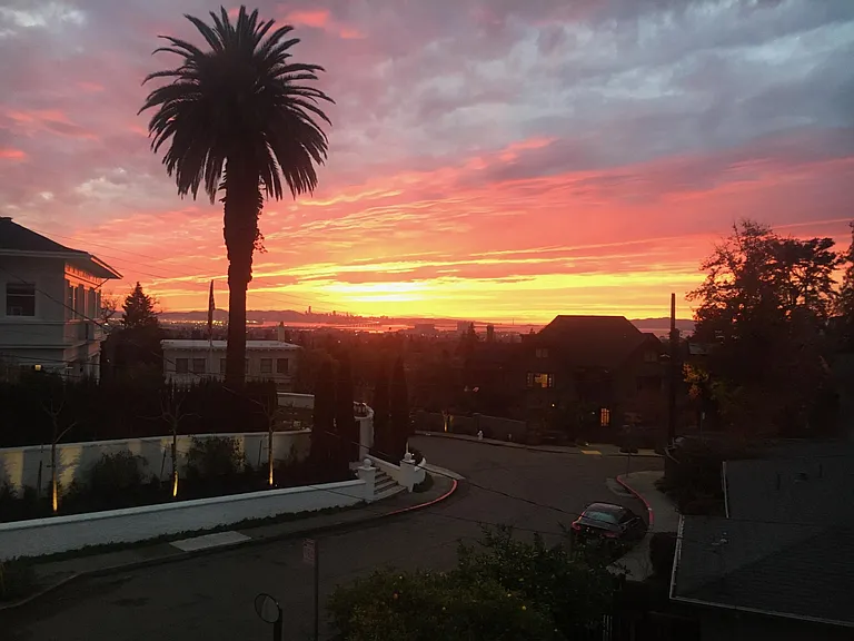 View in the neighborhood