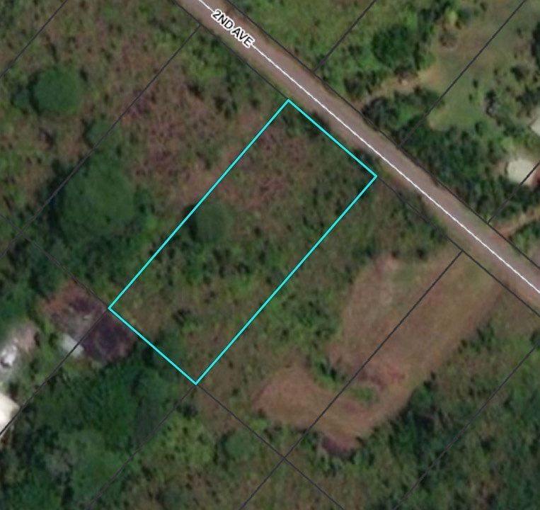 2nd image of 2nd Avenue Aloe Lot 2802