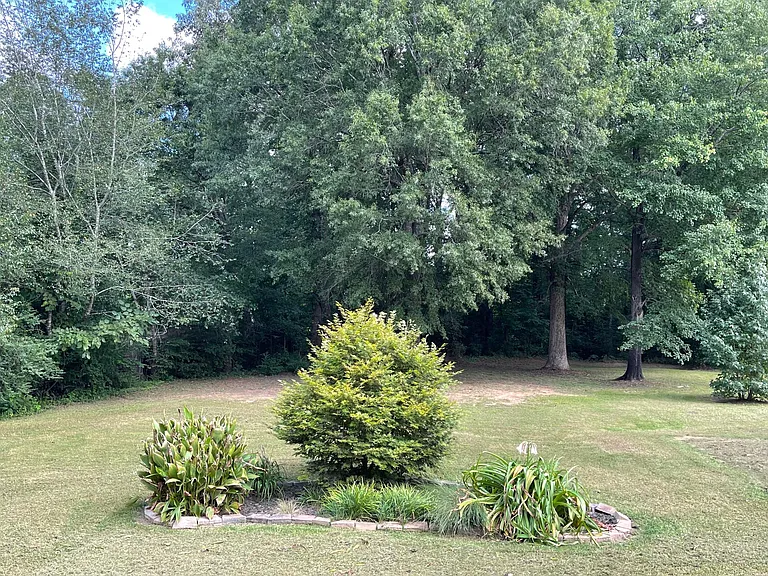 21 David Rd — Photo 9
