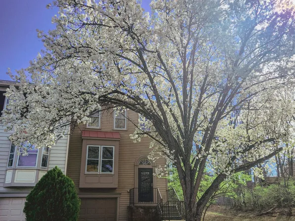 7261 Saint Lucia Ct, Manassas, VA 20109