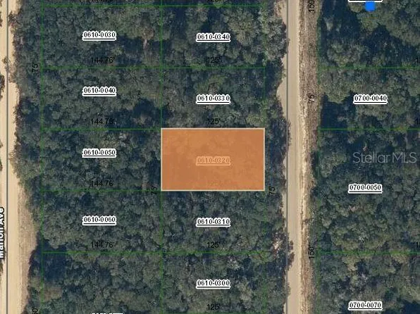 Annette Avenue Lot #32, Interlachen, FL 32148