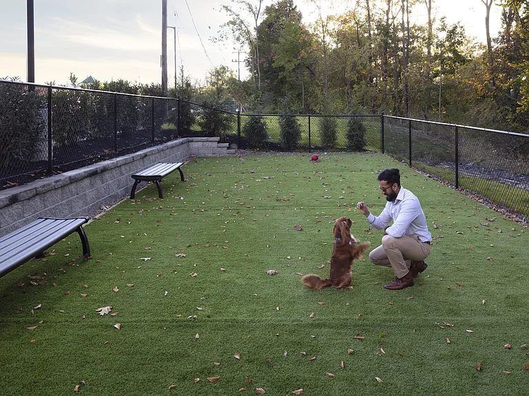 Spacious Dog Park