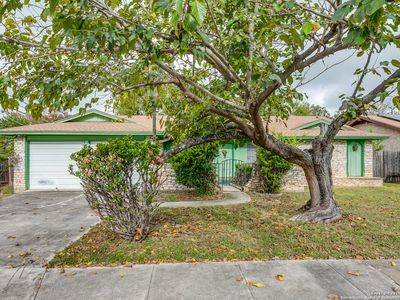 7003 Forest Moss, San Antonio, TX, 78240
