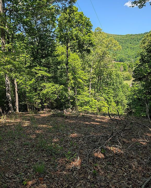 1st image of LOTS 5 & 6 Beech Mtn