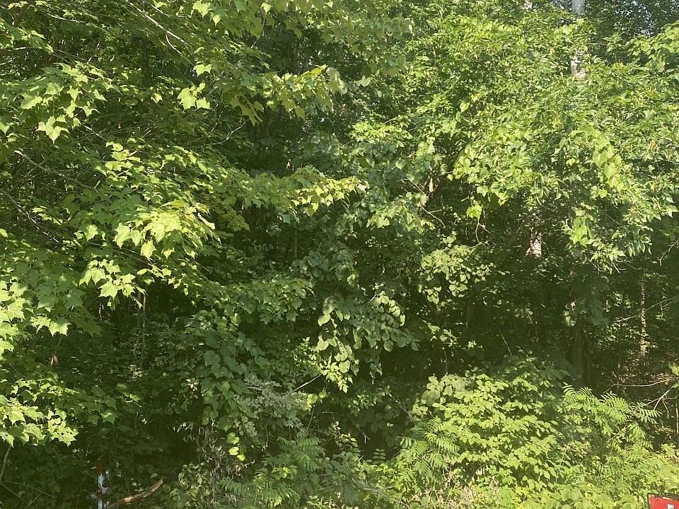 Lake Camille Rd, Cushing, MN 56443 Zillow