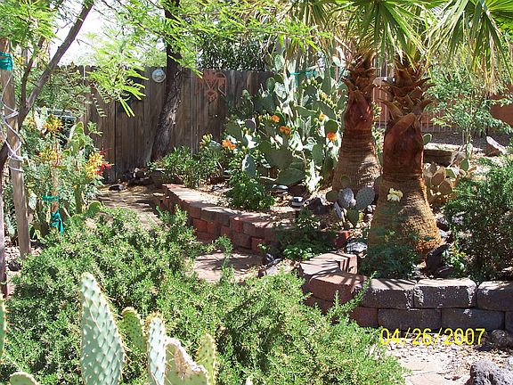 frt s/side garden